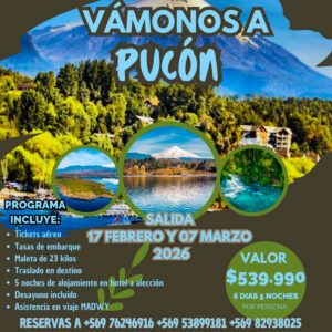 Vámonos a Pucón